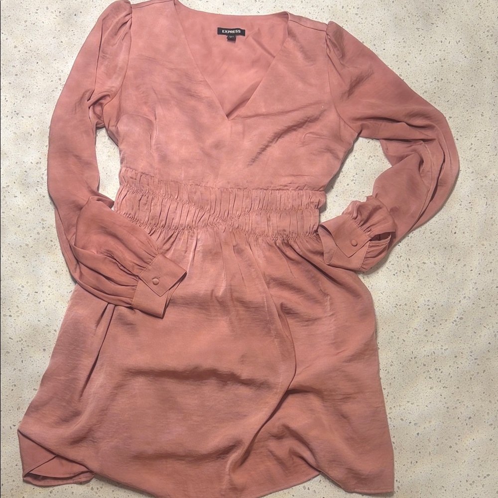 Aritzia Blush Long Sleeve Dress